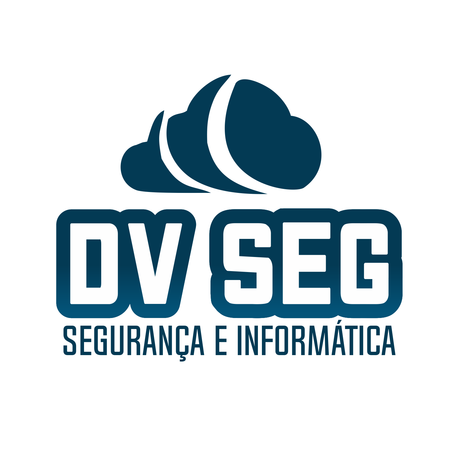 DVSEG